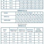 Купальник раздельный Lorin L2489/3