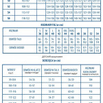 Купальник раздельный Lorin L2338/1-R